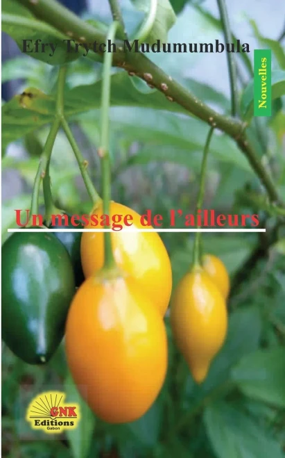 Un Message De L'Ailleurs (French Edition)