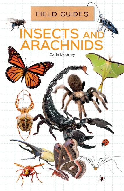 Insects And Arachnids (Field Guides For Kids)