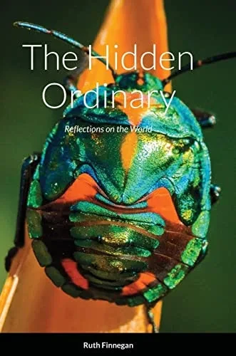 The Hidden Ordinary: Reflections On The World