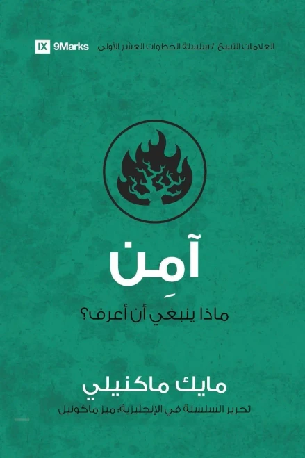 Believe (Arabic): What Should I Know? (Arabic Edition)