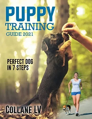Puppy Training Guide 2021: Perfect Dog In 7 Steps!