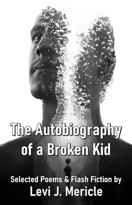 The Autobiography Of A Broken Kid Selected Poems & Flash Fiction By Levi