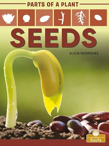 Seeds (9781427140685)