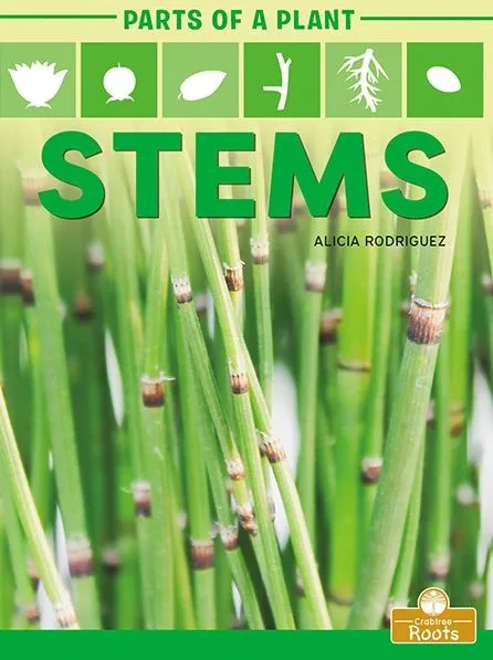 Stems (9781427140692)