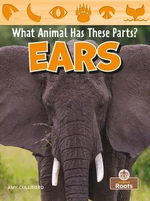 Ears (Hardback)