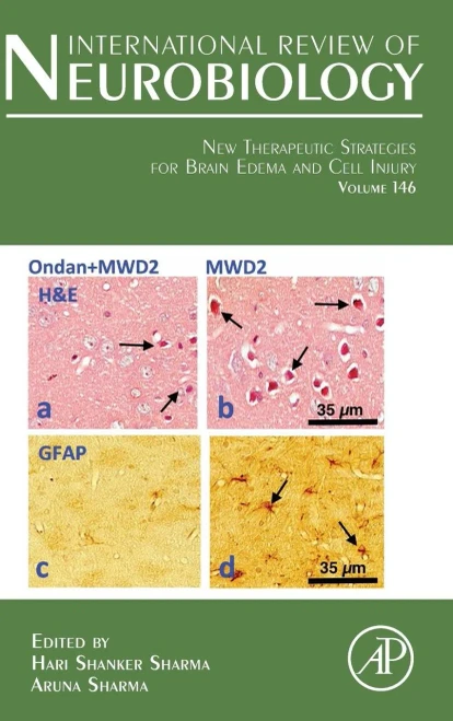 New Therapeutic Strategies for Brain Edema and Cell Injury (Volume 146) (International Review of Neurobiology, Volume 146)