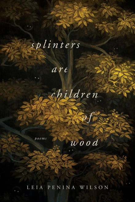 Splinters Are Children of Wood (Hardback)