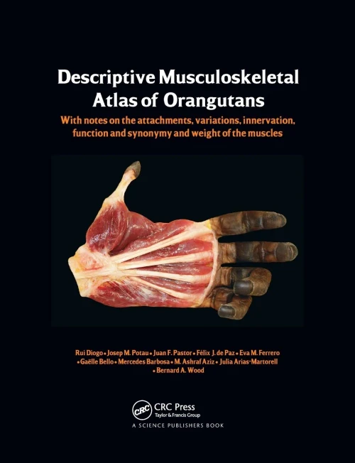 Photographic and Descriptive Musculoskeletal Atlas of Orangutans: with notes on the attachments, variations, innervations, function and synonymy and w (Paperback)