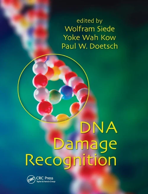 DNA Damage Recognition (Paperback)