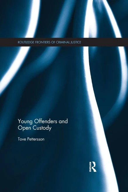 Young Offenders and Open Custody (Paperback)