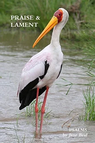 Praise & Lament: Psalms for the God of Birds