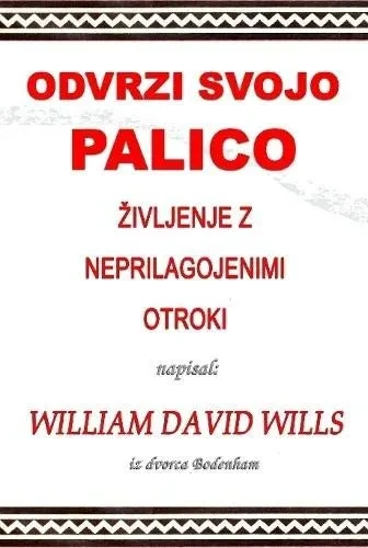 Odvrzi svojo palico - ivljenje z neprilagojenimi otroki (Slovene Edition)