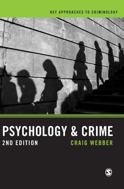 Psychology and Crime: A Transdisciplinary Perspective (Key Approaches to Criminology)