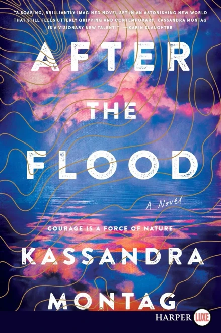 After the Flood: A Novel