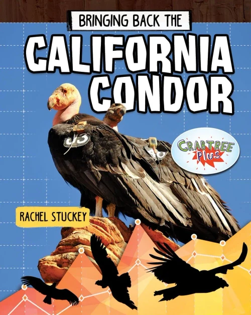 Bringing Back the California Condor (Animals Back from the Brink)