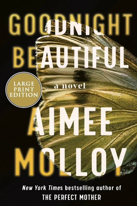 Goodnight Beautiful: A Novel