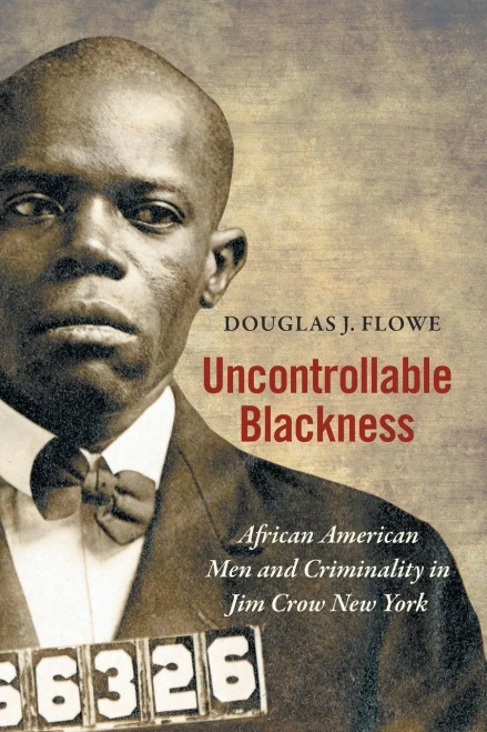 Uncontrollable Blackness: African American Men and Criminality in Jim Crow New York (Justice, Power, and Politics)