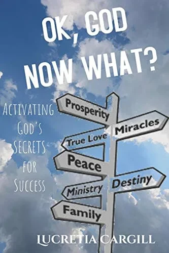 Ok, God Now What?: Activating God'S Secrets For Success