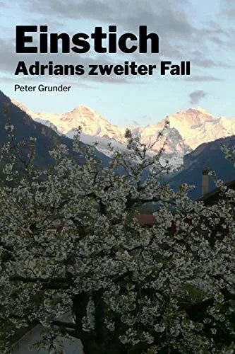 Einstich: Adrians Zweiter Fall (Die Bergretter) (German Edition)