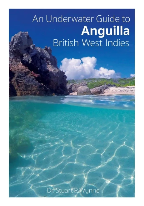 An Underwater Guide To Anguilla British West Indies