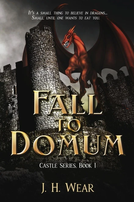 The Fall To Domum, Castle, Book 1