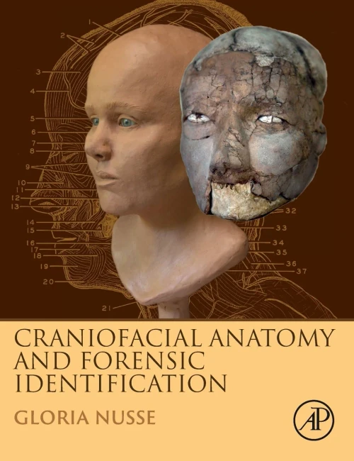 Craniofacial Anatomy and Forensic Identification