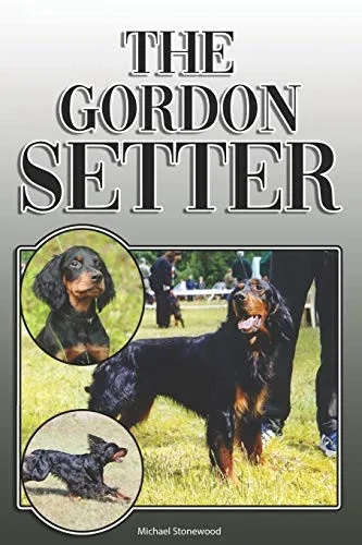 The Gordon Setter: A Complete And Comprehensive Owners Guide To: Buying, Owning, Health, Grooming, Training, Obedience, Understanding And Caring For Your Gordon Setter