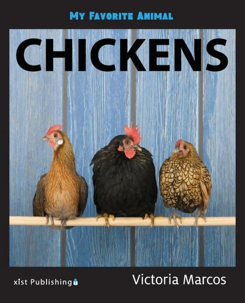 My Favorite Animal: Chickens