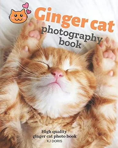 Ginger Cat Photography Book : High Quality Ginger Cat Photo Book (Cat Photo Album)