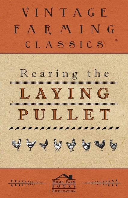 Rearing The Laying Pullet
