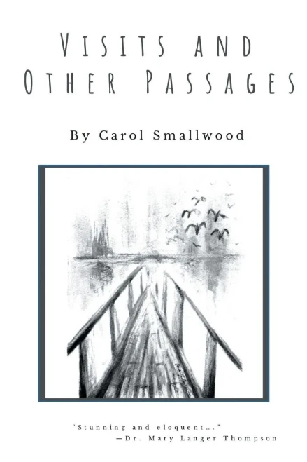 Visits And Other Passages