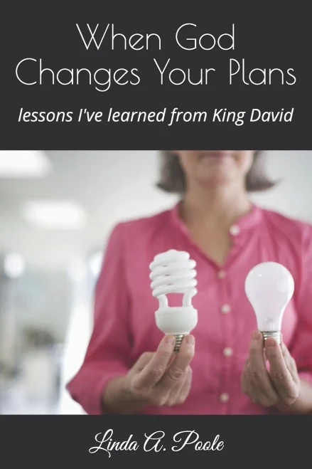 When God Changes Your Plans: Lessons I'Ve Learned From David (Bruised Heel Ministries)
