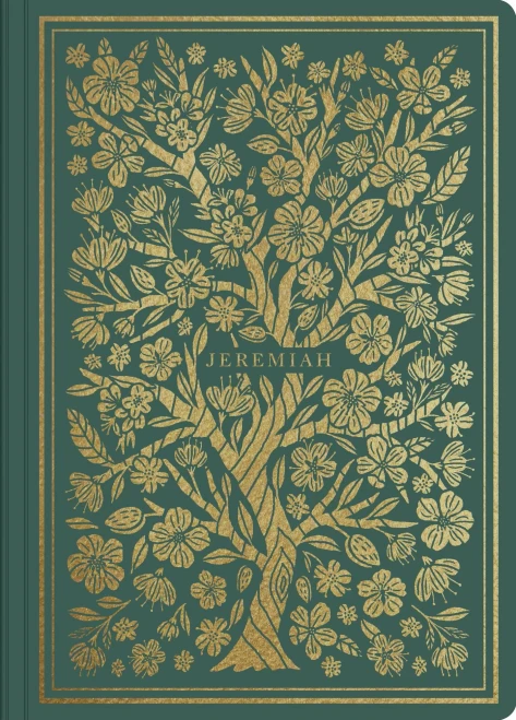 Esv Illuminated Scripture Journal: Jeremiah