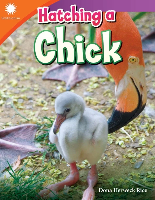 Hatching A Chick (Smithsonian Readers)