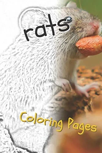 Rat Coloring Pages: Beautiful Rats Drawings For Kids And For Adults Relaxation - 9781090515186