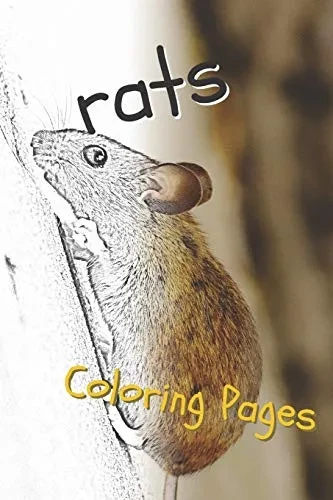 Rat Coloring Pages: Beautiful Rats Drawings For Kids And For Adults Relaxation - 9781090515674