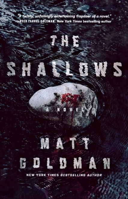 The Shallows: A Nils Shapiro Novel (Nils Shapiro, 3)