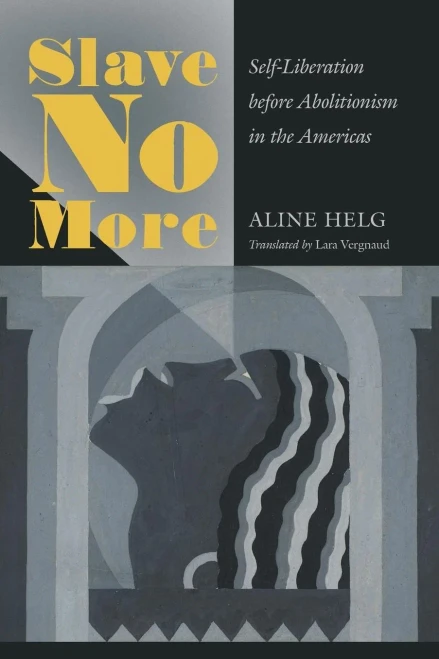 Slave No More: Self-Liberation Before Abolitionism In The Americas - 9781469649634