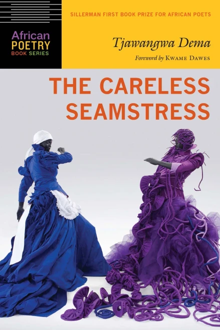 The Careless Seamstress (African Poetry Book)