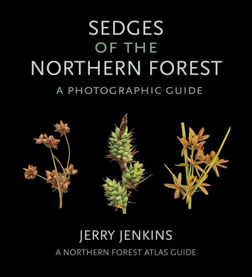 Sedges Of The Northern Forest: A Photographic Guide (The Northern Forest Atlas Guides)