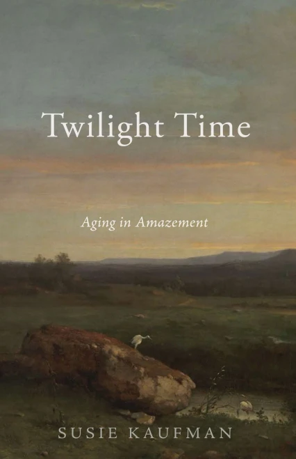 Twilight Time: Aging In Amazement - 9781532680854
