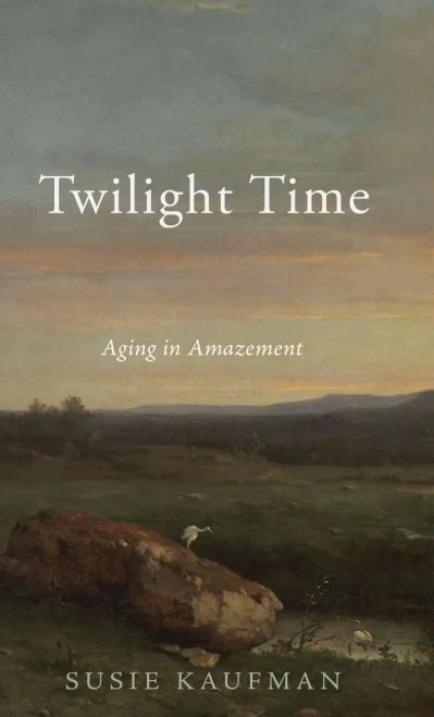 Twilight Time: Aging In Amazement - 9781532680861