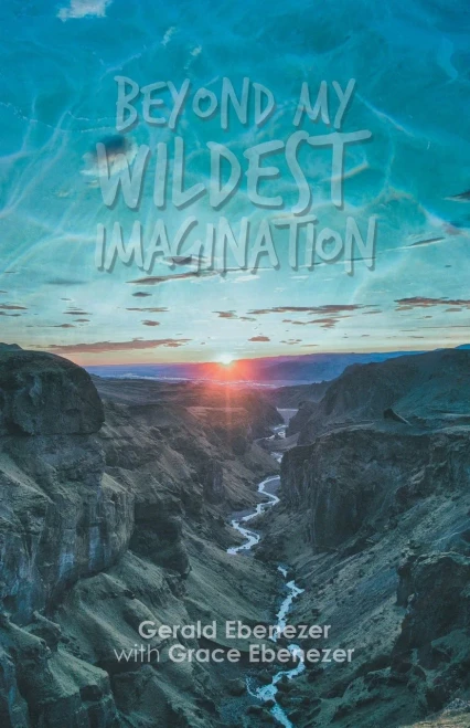 Beyond My Wildest Imagination - 9781543752991