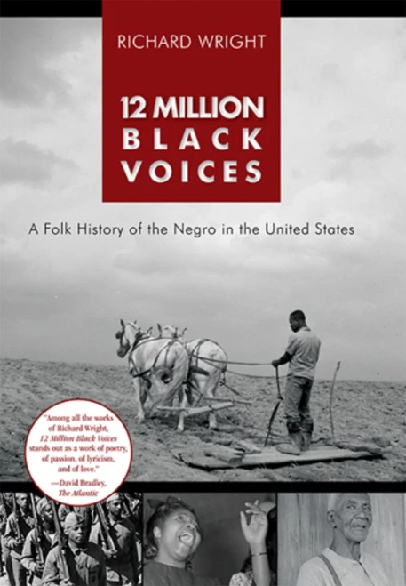 12 Million Black Voices - 9781626545656