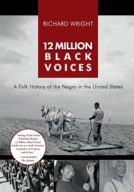 12 Million Black Voices - 9781635618815