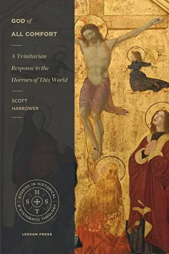 God Of All Comfort: A Trinitarian Response To The Horrors Of This World (Studies In Historical And Systematic Theology)