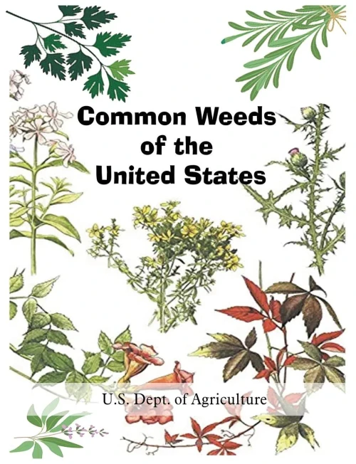 Common Weeds Of The United States