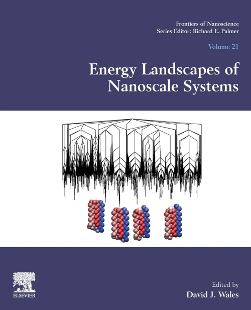 Energy Landscapes Of Nanoscale Systems (Volume 21) (Frontiers Of Nanoscience, Volume 21)