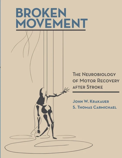 Broken Movement: The Neurobiology Of Motor Recovery After Stroke