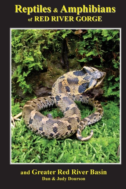 Reptiles And Amphibians Of Red River Gorge & Greater Red River Basin
